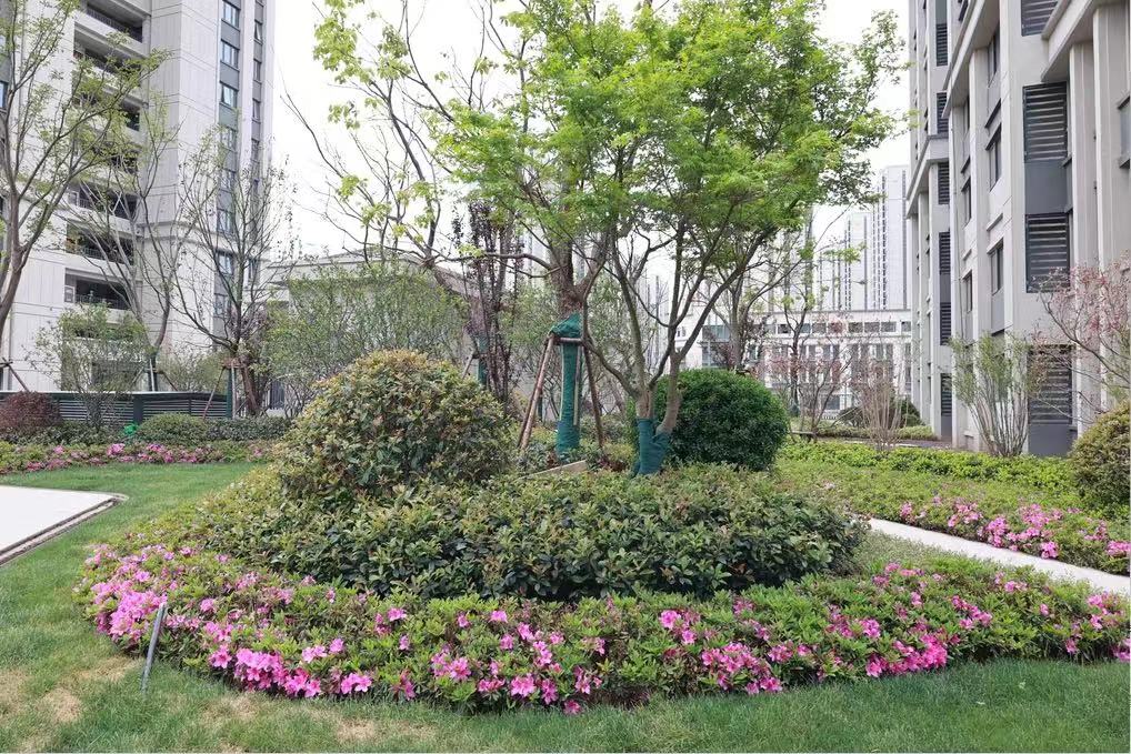 交通方便、配套齐全，824套保险房即将交付！