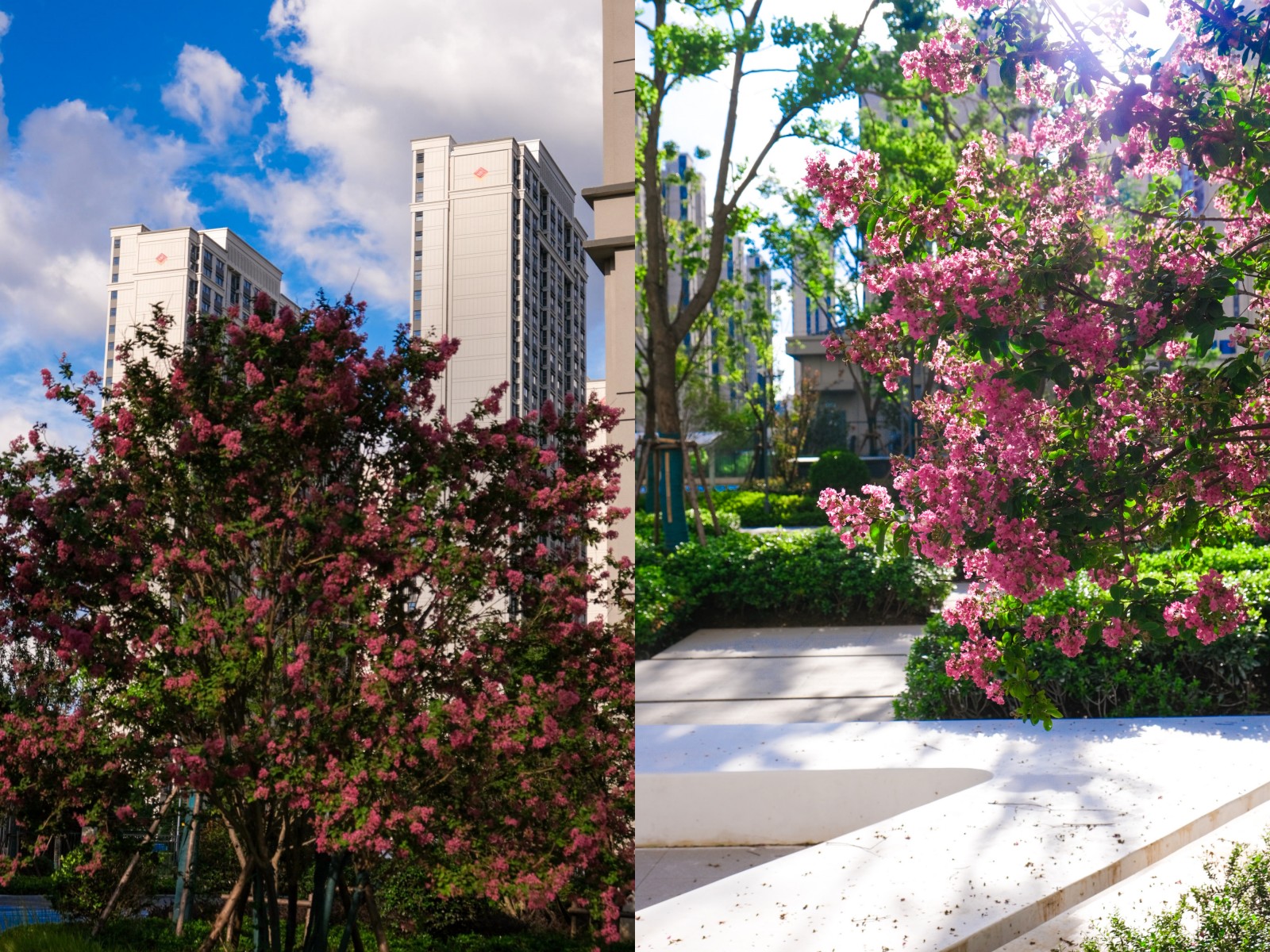 台风过境，这一大波民生项目be like（图说保险房）